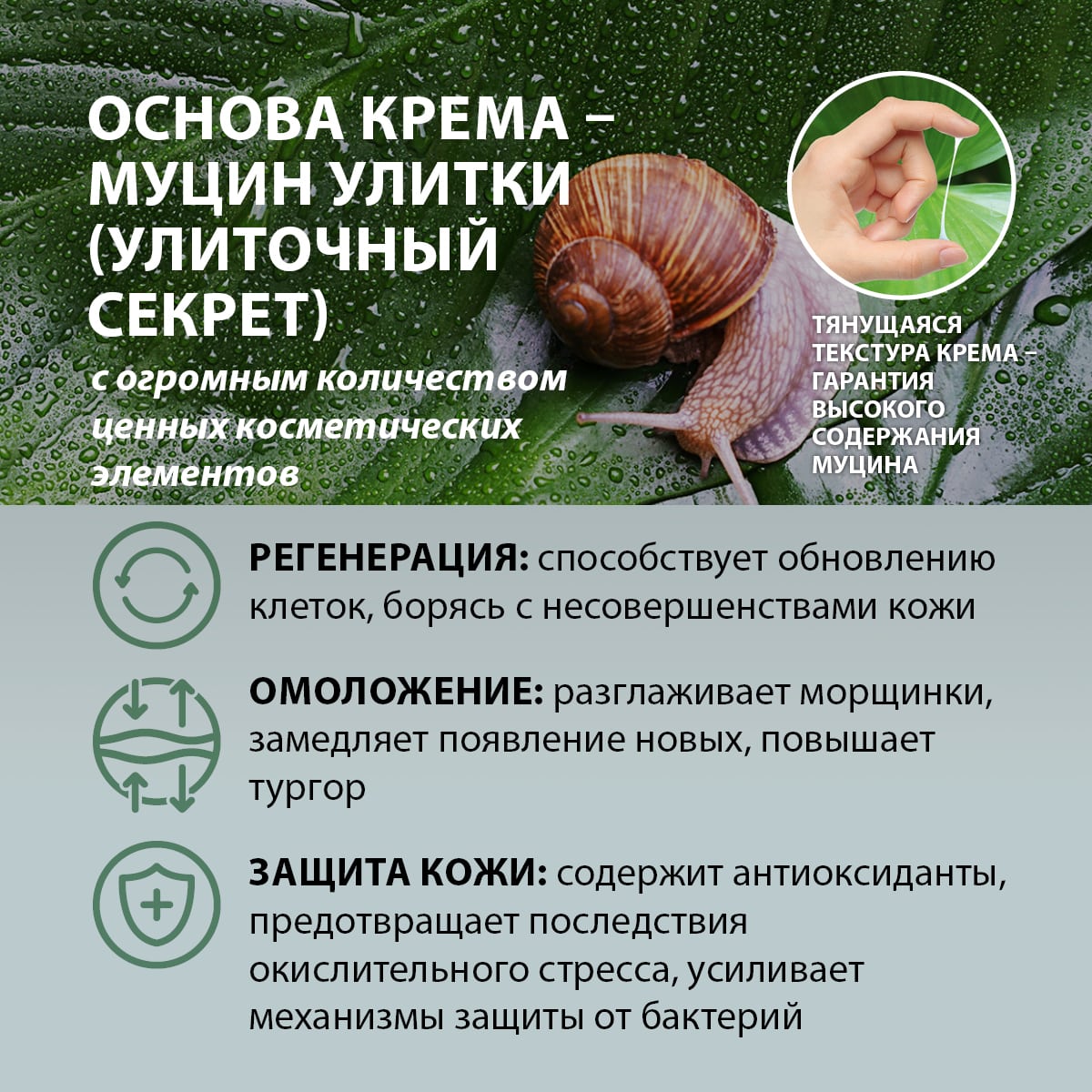 Многофункциональный крем для глаз с муцином улитки Snail Secret | TianDe